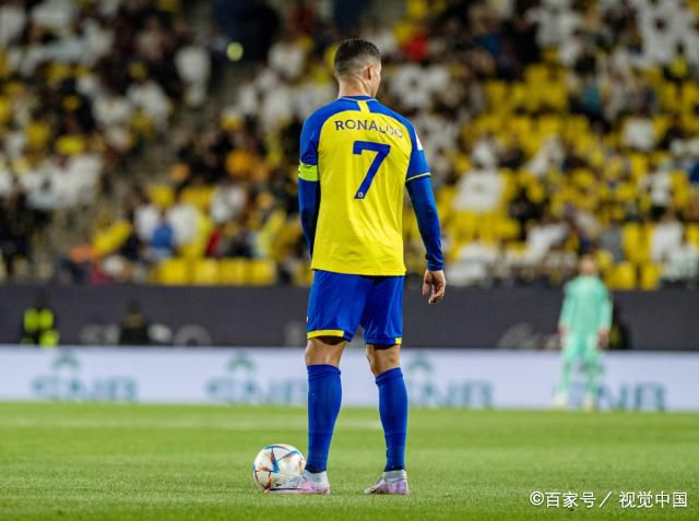 精品久久久久久国产免费了