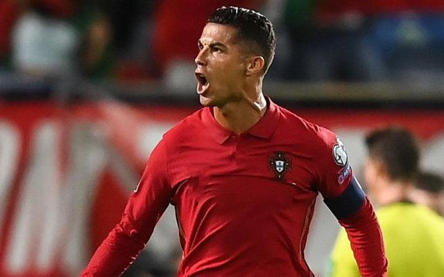 色草在线