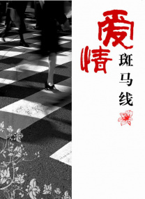 丁香 久久 综合