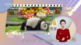 久久久久四虎国产精品