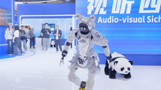 久久久久久精品国产